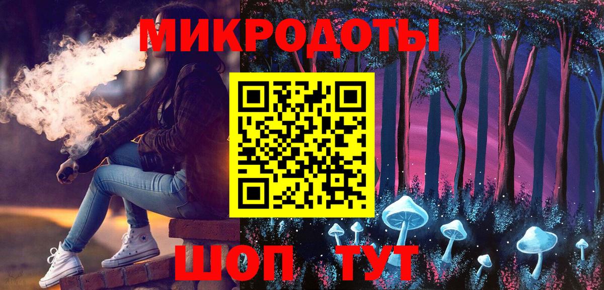 Псилоцибиновые грибы Psilocybe Ленинск-Кузнецкий